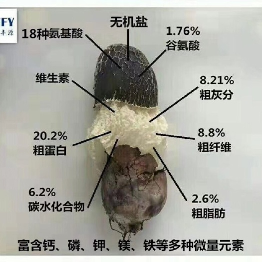 纳雍县 红托竹荪 贵州竹荪 织金竹荪 干品