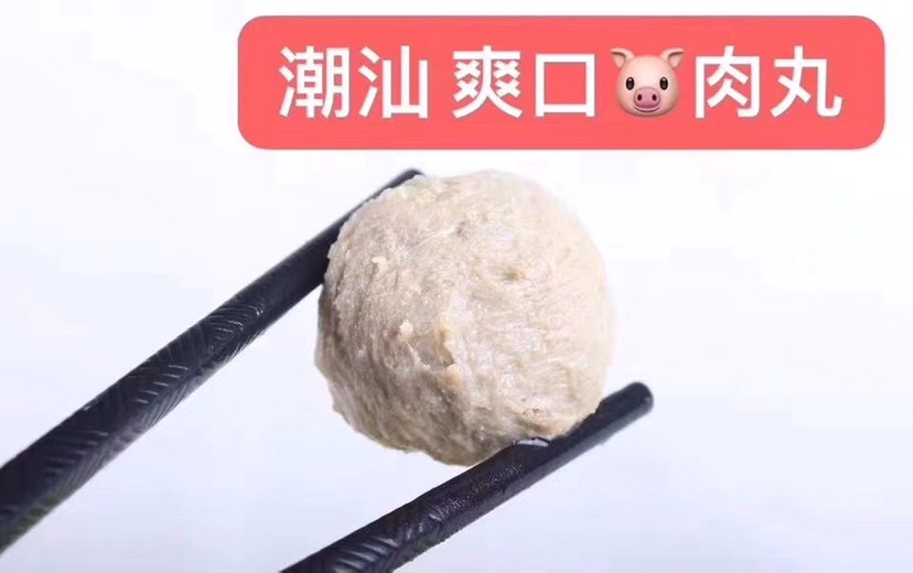 广州 mi制猪肉丸