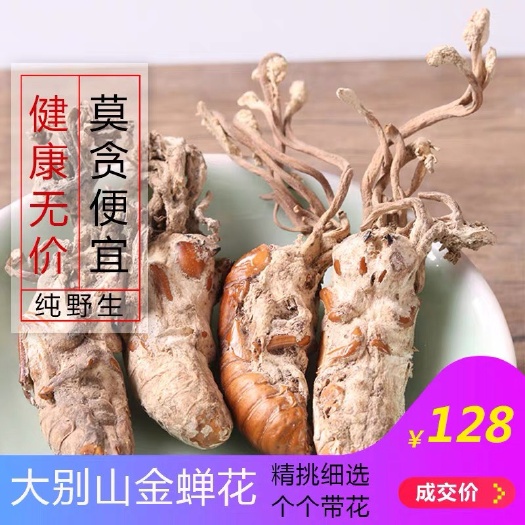 安国市虫草花 正品！！！金蝉花！！实拍图！包邮到家！