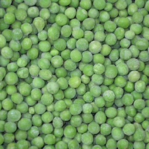 昆山市青豆 生大豆 1等品