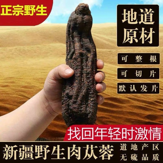 正品！内蒙古！纯干！肉苁蓉个子！切片！实拍图！无硫货！包邮