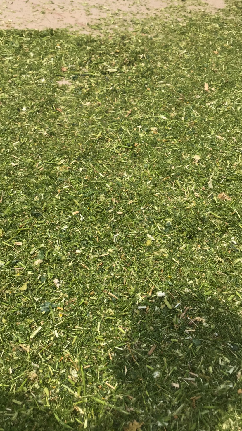 铡草机 5吨卧式铡草揉丝一体机