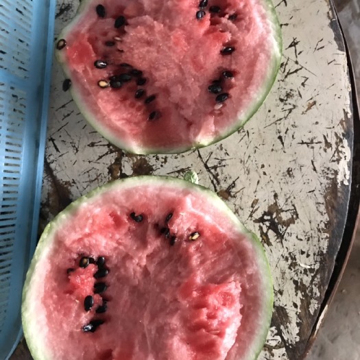 睢宁县京欣西瓜  睢宁西瓜