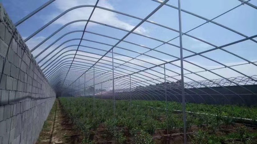 天津育苗温室大棚