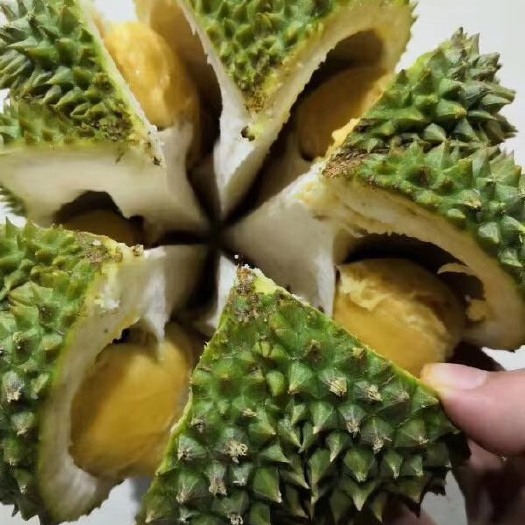 昆明 泰国甲仑榴莲