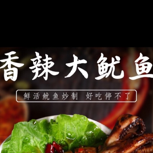 深圳 香辣大鱿鱼 即食鱿鱼 400g小单包装 网红爆款
欢迎询价