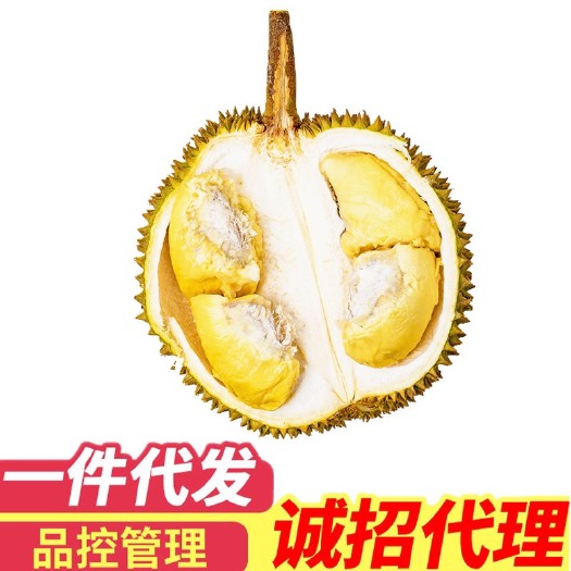 深圳 泰国榴莲供货当季新鲜水果批发