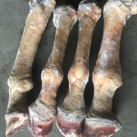 郑州驴腿  驴长蹄颜色新鲜质量好