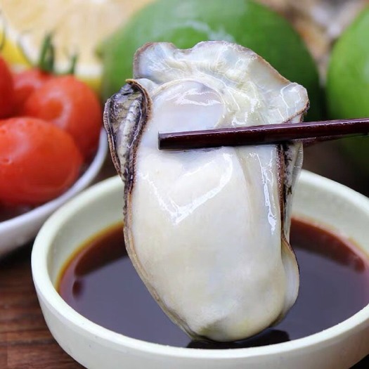饶平县牡蛎  鲜活深海生蚝肉现剥现发鲜活海蛎生蚝肉有海牛奶之称