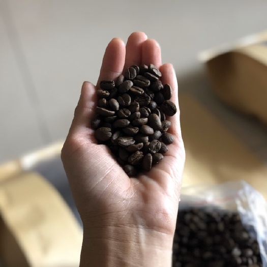 景洪市云南小粒咖啡豆 24个月以上