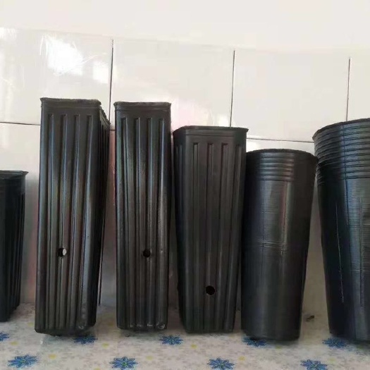 玉田县花盆 花钵/花箱 批发各种型号 营养钵 柑橘杯 厂家直销 量大优惠 欢迎咨询