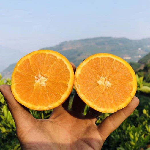 秭归县伦晚脐橙 我们的初衷就是现摘现发，不加防腐处理，不化妆.