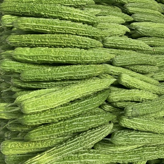 寿光市绿苦瓜 混装通货