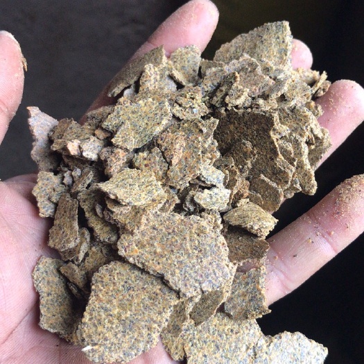 滨海县菜籽饼饲料 包质量