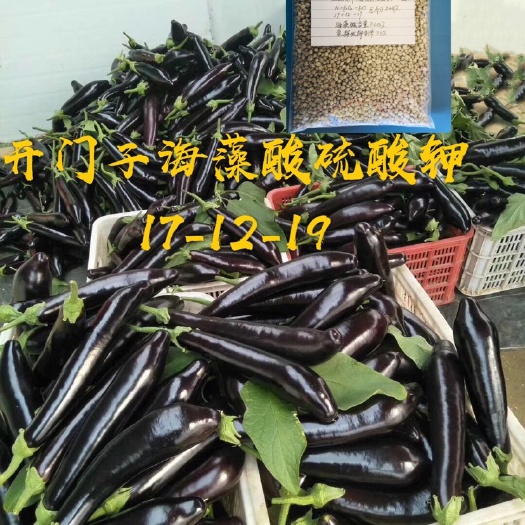 东海县复合肥料 开门子海藻酸硫酸钾螯合长效性瓜果蔬菜使用颗粒饱满高产