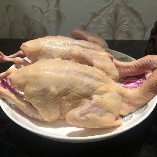 泰安乳鸽 自家鸽厂现订现杀，品质保证，欢迎来电订购
