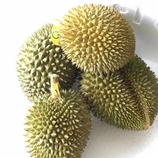 昆明 托曼尼（猫山王）榴莲