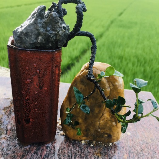 台山市小叶紫檀盆栽 精品根艺黑骨茶，大量批发