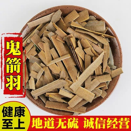 定州市正品货！鬼箭羽！鬼见羽，货！一斤包邮到家！量大优惠！