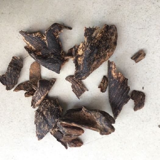 广州 沉香沉水壳子，天然沉香，放进水即沉，现货仅有5克包邮