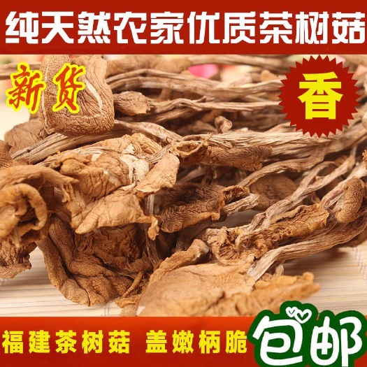 古田县 2020新货福建古田茶树菇茶薪菇产地直供批发