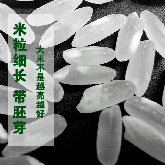 泸州东北大米 一等品 籼米 中稻