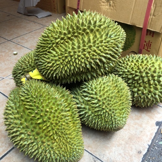 广州 泰国榴莲糯米鸡30多斤 6-8头果