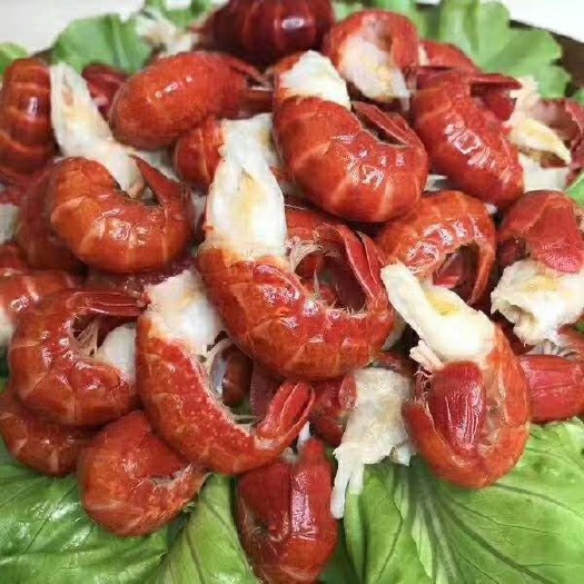 连云港 特级龙虾尾