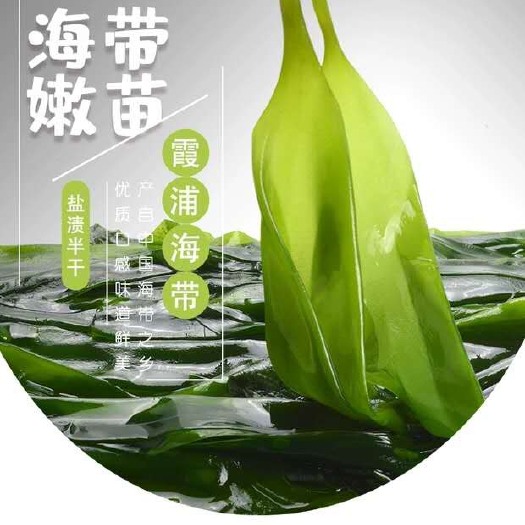 霞浦县福建霞浦盐渍海带苗海带嫩芽自产自销
