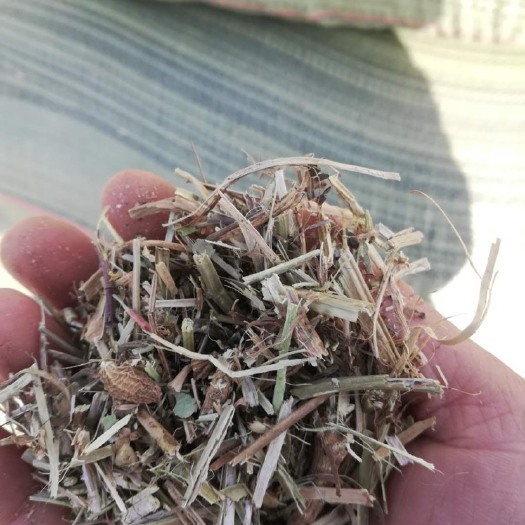 唐河县 花生秧无土无膜，长期大量供应，牛羊饲料