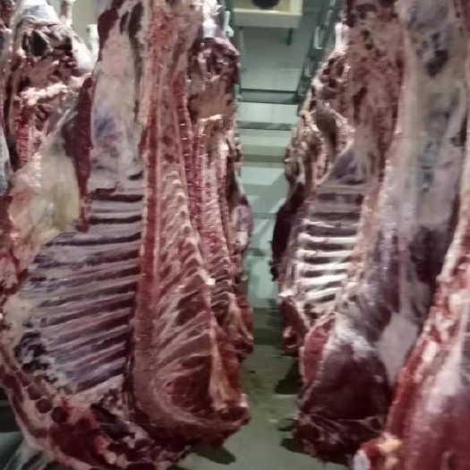 化州市 牛肉