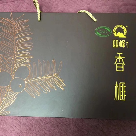 宁波香榧 12-18个月