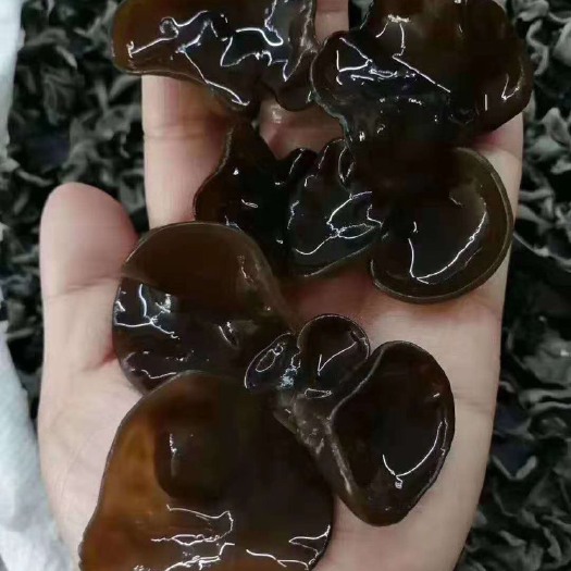 绥芬河市东北黑木耳 干木耳 一级