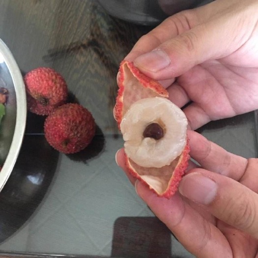 博罗县 广东桂味荔枝