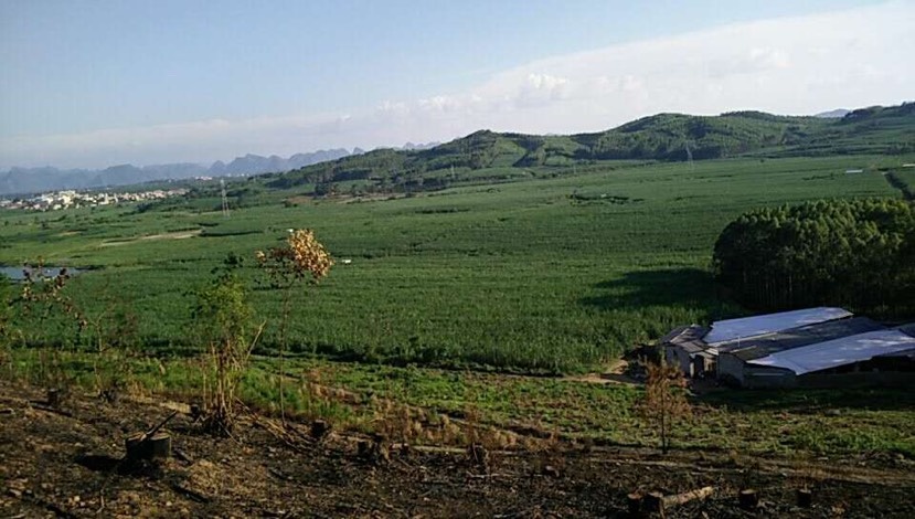 南宁旱地 广西南宁 1600亩农耕地出租