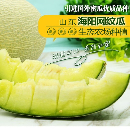海阳市 海阳市特产，网纹瓜
