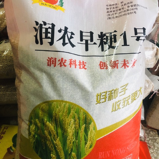 水稻种子润农早粳1号水稻种抗病抗倒伏稳产高产
