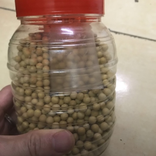 黄大豆 农家黄豆