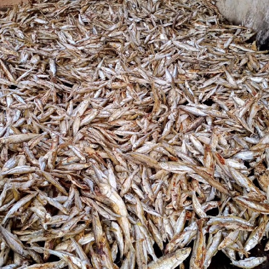 贺州 小鱼干