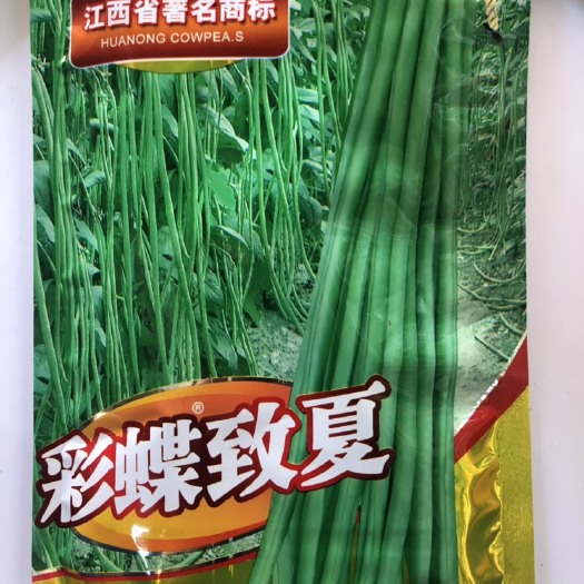 平远县华赣高档翠绿长豆角 越夏专用耐高温不落花70-80公分