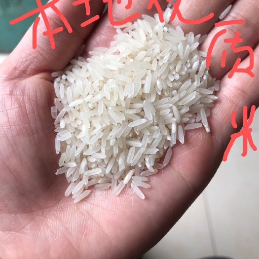 南宁香米 各类食堂用米