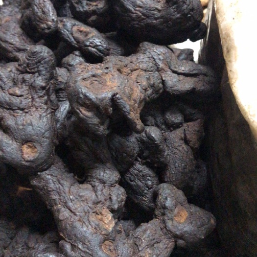 广州 传统九制黄精