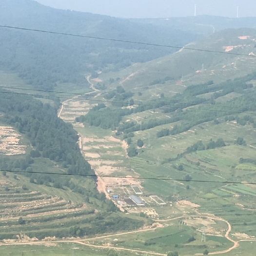 果园  土地