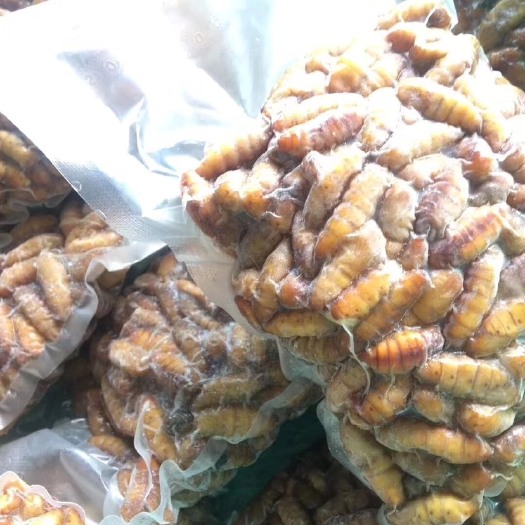 佛山蚕蛹350g