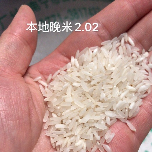 南宁稻花香大米 食堂饭店专用米