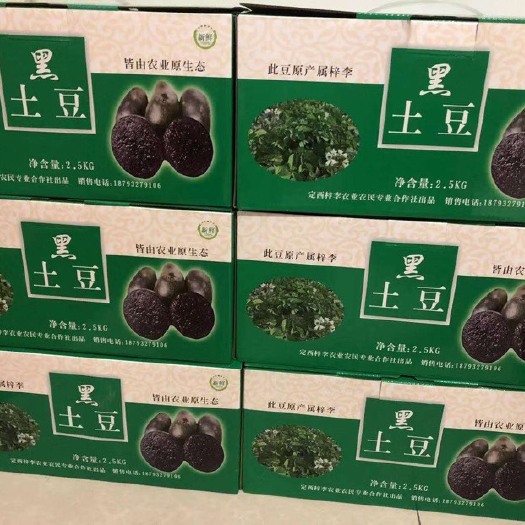定西 黑金刚土豆