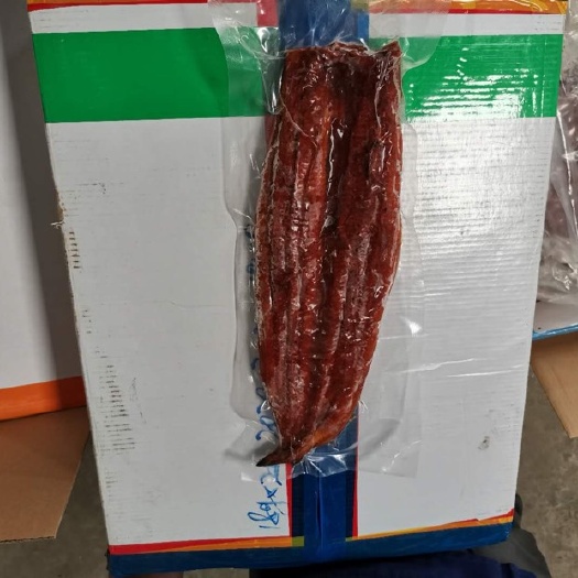 佛山冷冻鳗鱼 蒲烧烤鳗鱼烤鳗厂直销批发25p/10kg每箱中西餐厅食材