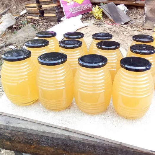四会市 纯农家百花蜜手工提取果园蜂巢天然调理肠胃必备