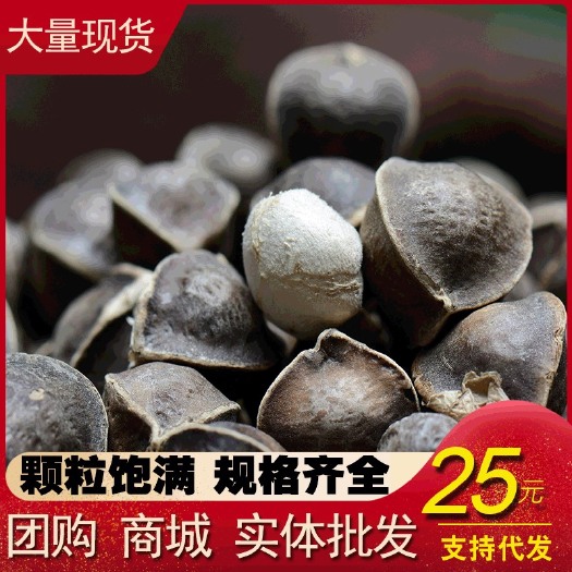 昆明正品印度辣木籽批发 辣木子精选辣木一件代发 各种辣木籽批发