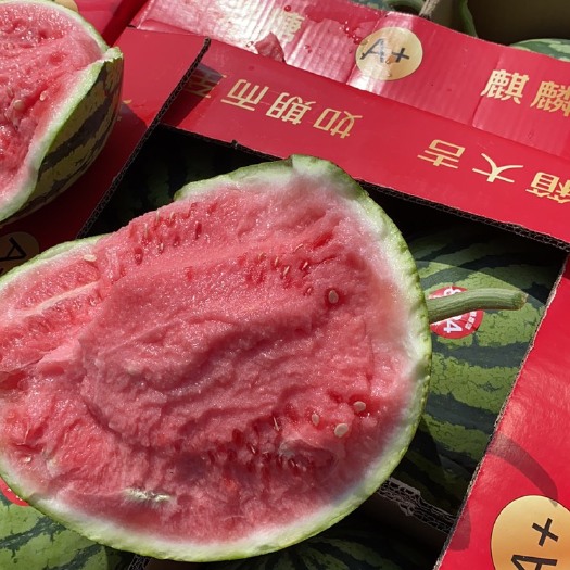 上海 精品8424西瓜供应